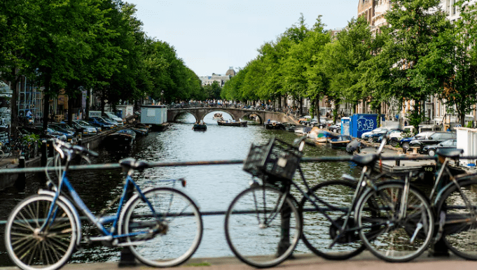 De transformatie van het IJland in Amsterdam-Noord tot de meest gewilde festivalbestemming van het seizoen