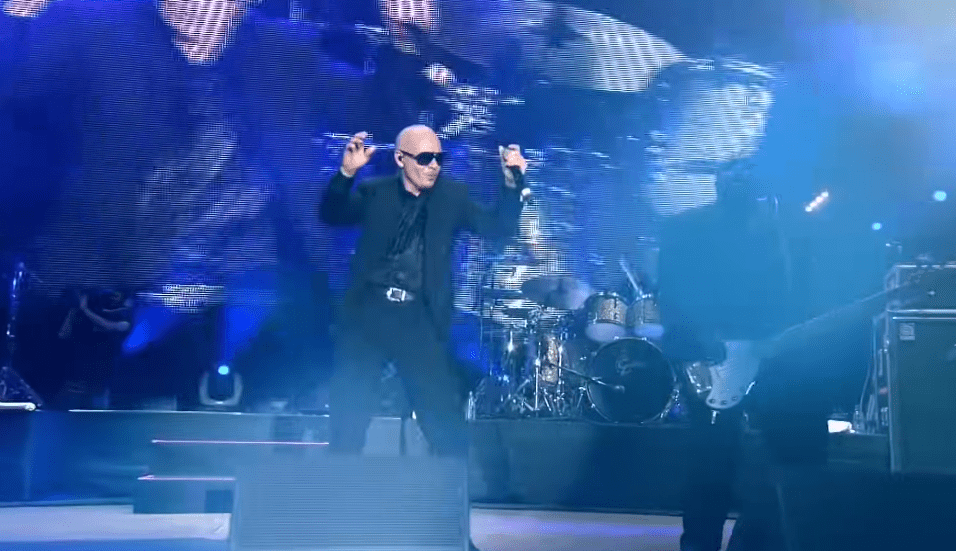 Gelredome pitbull